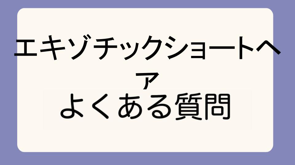 「エキゾチックショートヘアの売れ残りはなぜ起きるのか」