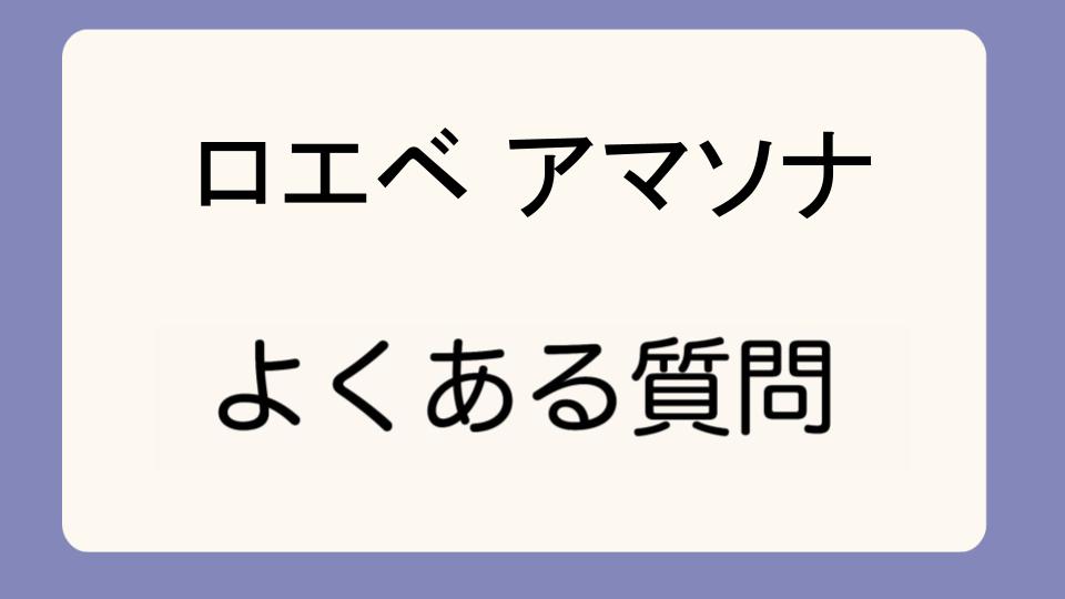 「ロエベ アマソナ 後悔しない選び方と注意点」
