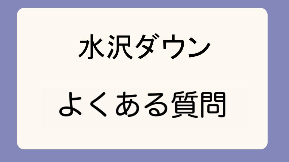 「水沢ダウンの値上がりは今後も続くのか」